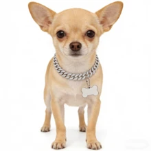 可调节奢华宠物项链，时尚宠物项圈，质感上乘，经典链镶嵌水钻，耐用不锈钢吊坠，适合猫狗佩戴。 - 彩色 - 查看 7