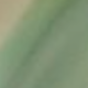Verde Lima