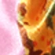 Hồng