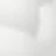 Nấm mốc trắng