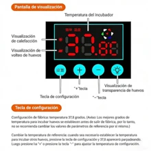 Incubadora De Aves De Gran Capacidad , Incubadora De 64 Huevos Con Pantalla Digital + Control Termostático Para Pollos + Rotación Automática , Patos , Gansos , Codornices Y Otras Aves De Corral - Verde - Ver 3
