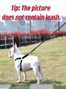 1pc Adjustable Nylon Pet Harness Suitable For Indoor Or Outdoor Use, Dog Chest Strap Leash For Walking, Anti-Choke Anti-Escape Thick Pet Chest Strap, Pet Supplies For Small/Medium/Large Dogs - Black - View 4