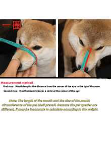 Bozal para perro, bozal de plástico transpirable para prevenir mordeduras, lengüetazos y masticado para perros pequeños, con clicker de entrenamiento - Multicolor - Ver 9