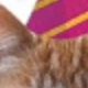 Large Cat Birthday Hat