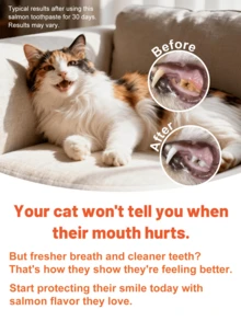 3件套猫咪口腔护理套装：鲑鱼酵素牙膏、软毛牙刷和硅胶指套牙刷 - 全面口腔卫生护理套装，去除牙菌斑、控制牙垢、保持口气清新 - 彩色 - 查看 5