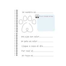 Notebooks - A - Übersicht 4