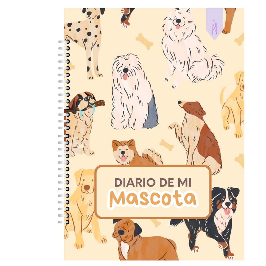 Notebooks - B - View 1