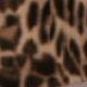 Leopard Print