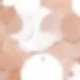 Meat Powder