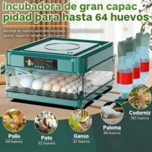 Incubadora De Aves De Gran Capacidad , Incubadora De 64 Huevos Con Pantalla Digital + Control Termostático Para Pollos + Rotación Automática , Patos , Gansos , Codornices Y Otras Aves De Corral - Verde - Ver 10