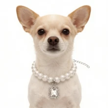2pcs Pet Collar With Faux Pearl, Luxurious Elegant Design, Adjustable Comfortable Fit For Daily Wear, Suitable For Cats And Dogs - Multicolor - View 5