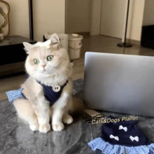 春季/服装，贵宾犬和小型猫咪图案吊带裙，学院风，防掉毛，比熊犬 - 藍色 - 查看 3