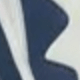藏蓝色