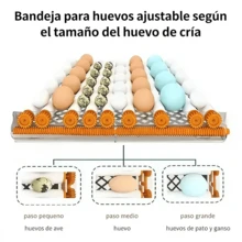 Incubadora De Aves De Gran Capacidad , Incubadora De 64 Huevos Con Pantalla Digital + Control Termostático Para Pollos + Rotación Automática , Patos , Gansos , Codornices Y Otras Aves De Corral - Verde - Ver 4