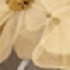 彩色