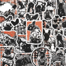 50 Stickers Of Modern Graffiti By Fadou - Waterproof Vinyl, Suitable For Laptops, Water Bottles, Notebooks, Suitcases, Etc. - A Fun DIY Scrapbook Gift Featuring Cartoon Designs - A - View 12