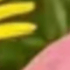 彩色