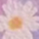彩色