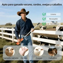 Electronic Pet Training & Behavior - Orange - View 8