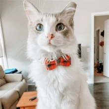 1pc Stylish Plaid Bow-Tie Cat Collar - Adjustable & Comfortable Fit, Durable Fashion Accessory For Your Feline - Multicolor - View 4