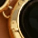 dorado + negro