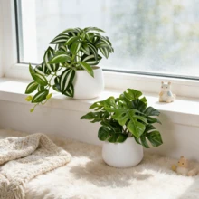 2 piezas Macetas blancas pequeñas y lindas con plantas verdes artificiales, plantas en maceta con hojas de tortuga falsas de 15 cm, adecuadas para decoración del hogar, escritorio de oficina, mesa de comedor, baño, decoración del hogar, accesorios DIY, decoración de sala de estar y dormitorio, sin necesidad de regar - Verde - Ver 2