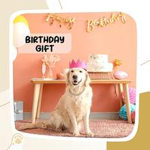 Classic Cuban Chain Pet Necklace, Fashionable Luxury Pet Collar, Made Of Zinc Alloy, Shiny Hip-Hop Design, Adjustable Comfortable Fit, Suitable For Small And Large Pets - Multicolor - View 7