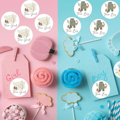 Gender Reveal Paper Stickers, Clothing Stickers, Self-Adhesive Stickers, Baby Shower Party Supplies, Baby Shower Party Decorations