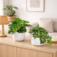 2 piezas Macetas blancas pequeñas y lindas con plantas verdes artificiales, plantas en maceta con hojas de tortuga falsas de 15 cm, adecuadas para decoración del hogar, escritorio de oficina, mesa de comedor, baño, decoración del hogar, accesorios DIY, decoración de sala de estar y dormitorio, sin necesidad de regar - Verde - Ver 12