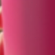 Rosa Fucsia