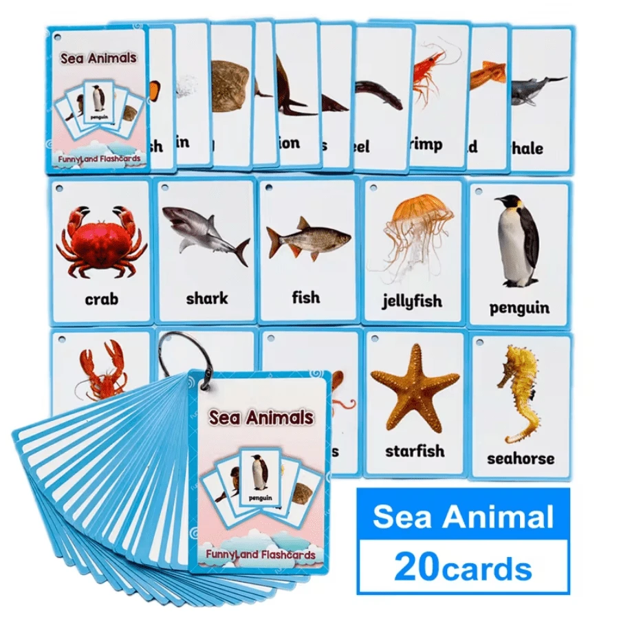 1pc 20pcs Ocean Animal Flashcards, English Learning Early Education Cards, Fun Vocabulary Learning Tool, Waterproof Thick Design With Keyring, Underwater Creature Pattern Recognition Cards, Preschool Educational Cognitive Cards, Parent-Child Interaction English Enlightenment Learning Cards - Multicolor - View 1
