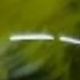Verde Oscuro