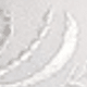trắng