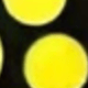 Dorado