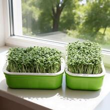 豆芽育苗盘、发芽套装、水培育苗盘、幼苗种植盘、微型蔬菜种植盘、小麦草育苗盘、豆芽发芽盘、无土栽培盘、家用种植系统、阳台种植盆、桌面园艺套装、蔬菜育苗盆、双层排水种植盆、大容量发芽工具、家用水培系统、带网格盖的育苗盘、绿豆芽容器、室内园艺用品 - Bean Sprout Tray - 查看 2