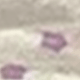 Small Floral Pattern