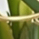 Nhiều kiểu dáng
