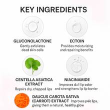 【细腻柔滑，滋养修护】PHA唇部精华，温和去角质，提亮肤色，深层补水，蕴含烟酰胺和积雪草成分，改善暗沉，焕活双唇 - 全部 - 查看 3