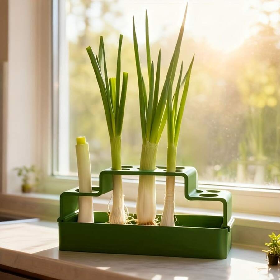 1pc Scallion Replanting Pot, Hydroponic Reusable Planter For Regrowth, Simple Home Use Circulation Harvesting, Soil-Free Planting Kit