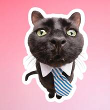 趣味黑猫西装贴纸，办公人士个性化贴纸，防水乙烯基贴纸 - 耐用哑光表面，自粘式，适用于汽车、窗户、笔记本电脑、卡车、水瓶 - 多用途耐用设计，汽车贴纸 - 乙烯基 - 查看 9