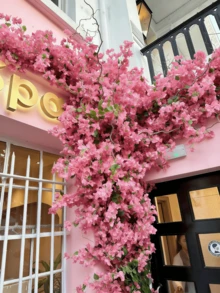 Hồng