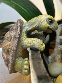 1件可愛樹脂海龜小雕像，懸掛式植栽裝飾，室內居家裝飾，適用於花園、庭院與房屋，無需電源，戶外花園裝飾 - A - 查看 3