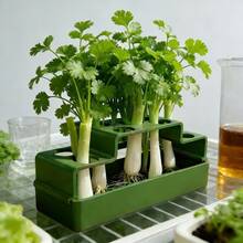 1pc Scallion Replanting Pot, Hydroponic Reusable Planter For Regrowth, Simple Home Use Circulation Harvesting, Soil-Free Planting Kit - Nine-hole Planter - View 5