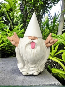 摇滚小矮人“乔治” 这位小矮人将为您的仙女花园和花园小矮人增添摇滚氛围。 - F - 查看 14