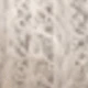 trắng