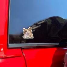 双臂交叉傲慢猫咪贴纸，趣味表情贴花，防水乙烯基贴纸 - 耐用哑光表面，自粘式保险杠贴纸，适用于汽车、窗户、笔记本电脑、卡车、水瓶 - 多用途耐用设计，汽车贴花 - 乙烯基 - 查看 6