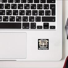 你擦掉了什么？困惑猫咪贴纸，趣味表情装饰贴纸 - 防水乙烯基贴纸，耐用哑光表面，自粘式，适用于汽车、窗户、笔记本电脑、卡车、瓶子 - 多用途耐用设计，汽车贴花 - 乙烯基 - 查看 4