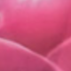 彩色