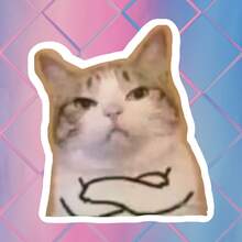 双臂交叉傲慢猫咪贴纸，趣味表情贴花，防水乙烯基贴纸 - 耐用哑光表面，自粘式保险杠贴纸，适用于汽车、窗户、笔记本电脑、卡车、水瓶 - 多用途耐用设计，汽车贴花 - 乙烯基 - 查看 11