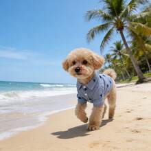 1件全新宠物衬衫，蓝色条纹星形图案，时尚翻领纽扣设计，适合春夏穿着小型/中型犬猫。 - 寶藍色 - 查看 7